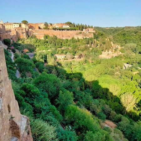 Vista Sulla Vallata Pitigliano Exterior foto